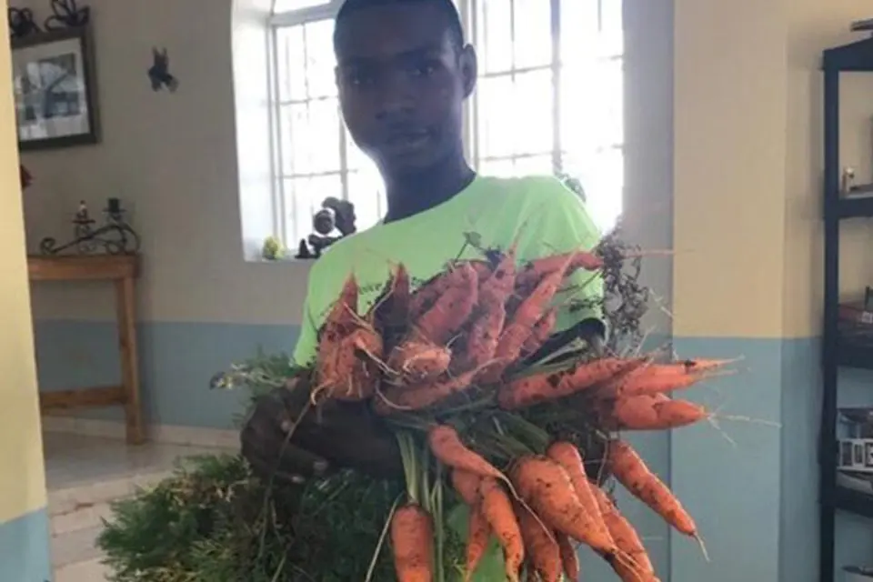 A person standing indoors holding a large bunch of freshly harvested carrots with dirt still on them.