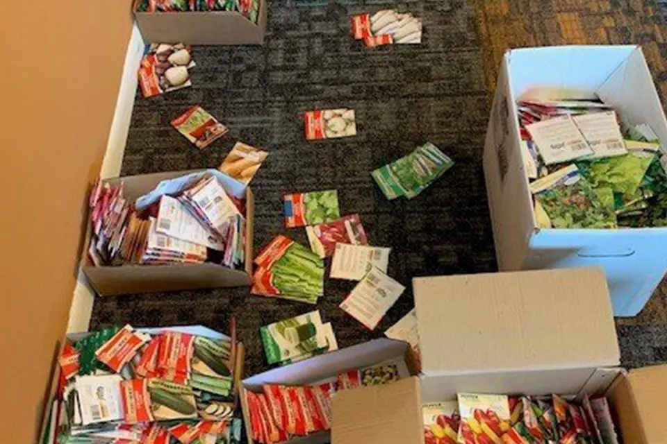 Four open boxes and several packets of seeds scattered on a carpeted floor.