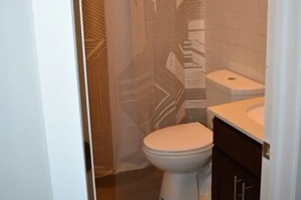 Small bathroom with a white toilet, a shower with a patterned curtain, and a vanity with a white sink and dark cabinet.