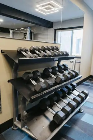 Three-tiered rack holding sets of hexagonal dumbbells in a modern gym with a large mirror and window in the background.