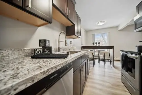 Modern kitchen with dark cabinets, granite countertops, stainless steel appliances, and a small dining area by a window with three potted plants.
