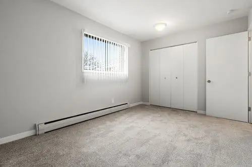 Empty bedroom with beige carpet, white walls, a window with vertical blinds, a closed closet, and a single ceiling light.
