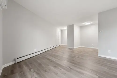 Empty room with light gray walls, wood-look flooring, baseboard heater, and a ceiling light fixture; bright and minimal interior.