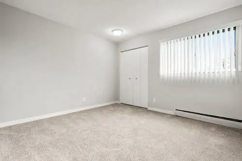 Empty room with beige carpet, white walls, a ceiling light, closed double closet doors, and a window with vertical blinds letting in natural light.