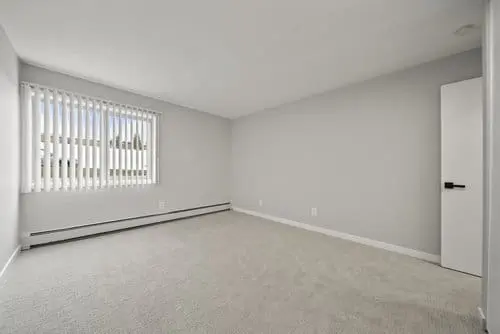Empty room with light gray walls, white carpet, a window with vertical blinds, and an open white door. Natural light enters through the window.