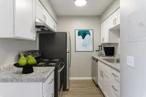 Modern kitchen with white cabinets, stainless steel appliances, a bowl of green pears on the counter, and abstract art on the wall.